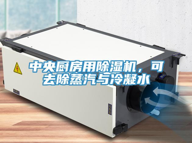 中央廚房用除濕機，可去除蒸汽與冷凝水