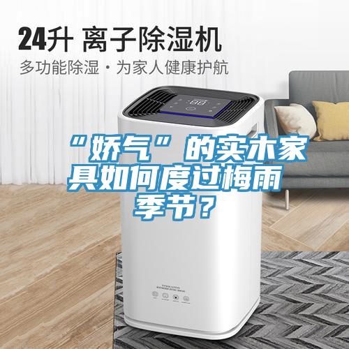“嬌氣”的實(shí)木家具如何度過(guò)梅雨季節(jié)？