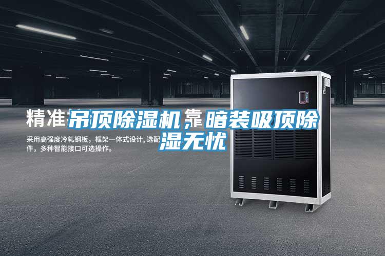 吊頂除濕機(jī)，暗裝吸頂除濕無(wú)憂