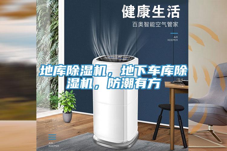 地庫除濕機，地下車庫除濕機，防潮有方