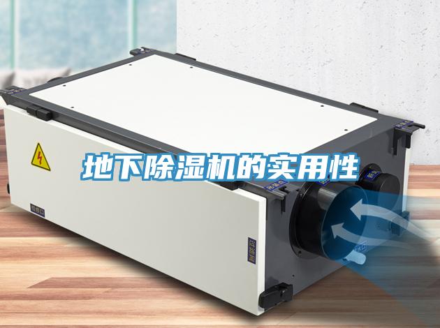 地下除濕機的實用性