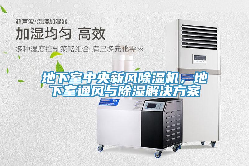 地下室中央新風(fēng)除濕機，地下室通風(fēng)與除濕解決方案