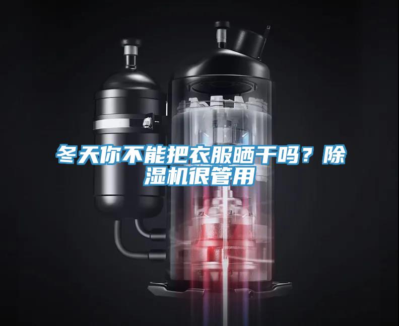 冬天你不能把衣服曬干嗎？除濕機很管用