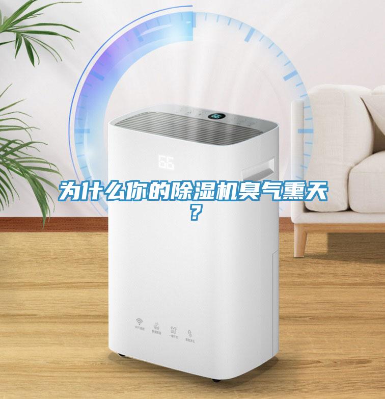為什么你的除濕機(jī)臭氣熏天？