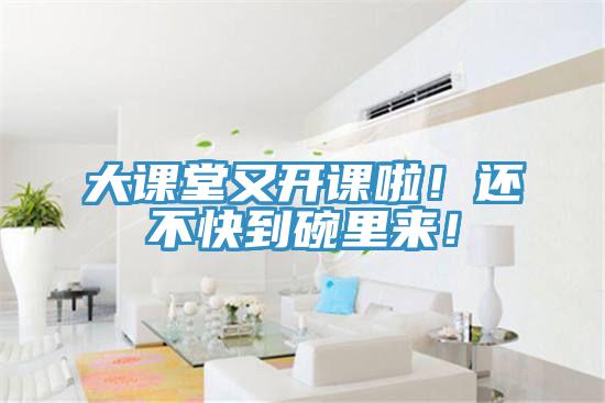 大課堂又開課啦！還不快到碗里來！