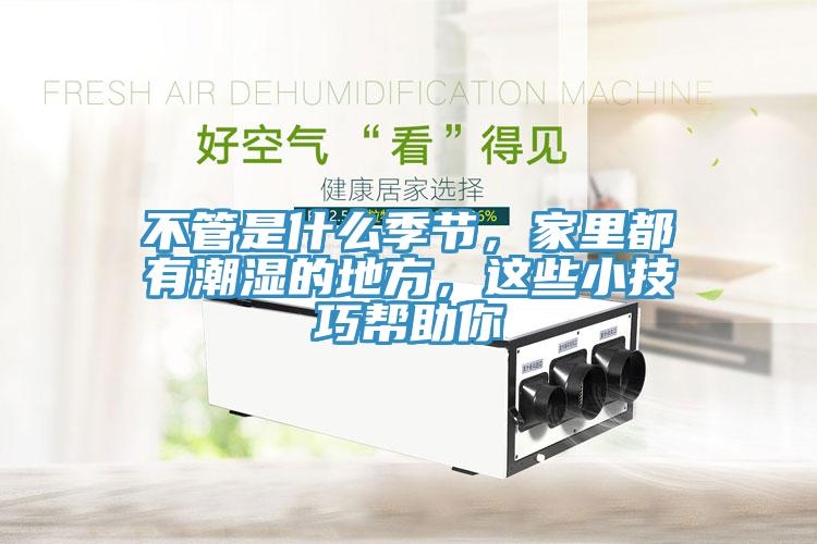 不管是什么季節(jié)，家里都有潮濕的地方，這些小技巧幫助你