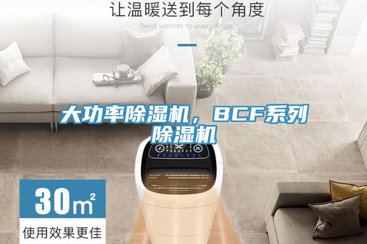 大功率除濕機，BCF系列除濕機