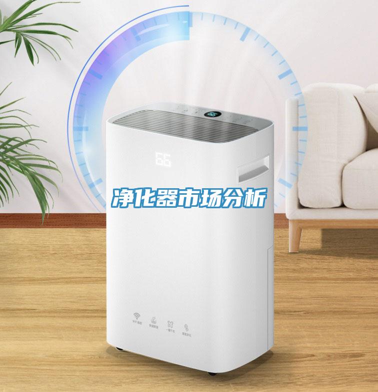 凈化器市場(chǎng)分析