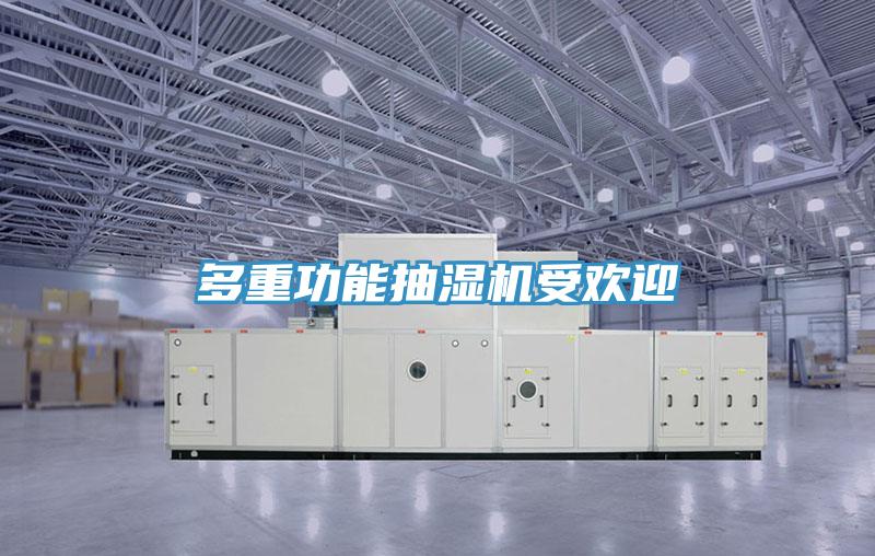 多重功能抽濕機(jī)受歡迎