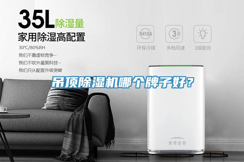 吊頂除濕機(jī)哪個牌子好？