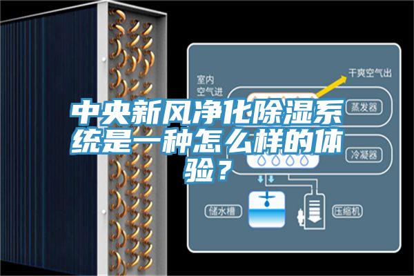 中央新風(fēng)凈化除濕系統(tǒng)是一種怎么樣的體驗(yàn)？