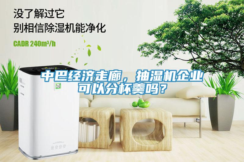 中巴經(jīng)濟(jì)走廊，抽濕機(jī)企業(yè)可以分杯羹嗎？