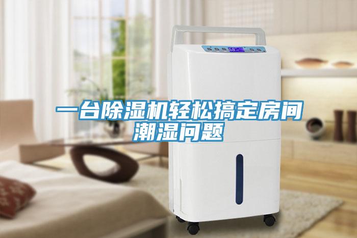 一臺除濕機(jī)輕松搞定房間潮濕問題