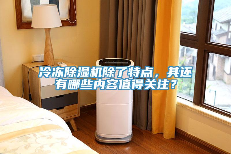 冷凍除濕機(jī)除了特點(diǎn)，其還有哪些內(nèi)容值得關(guān)注？