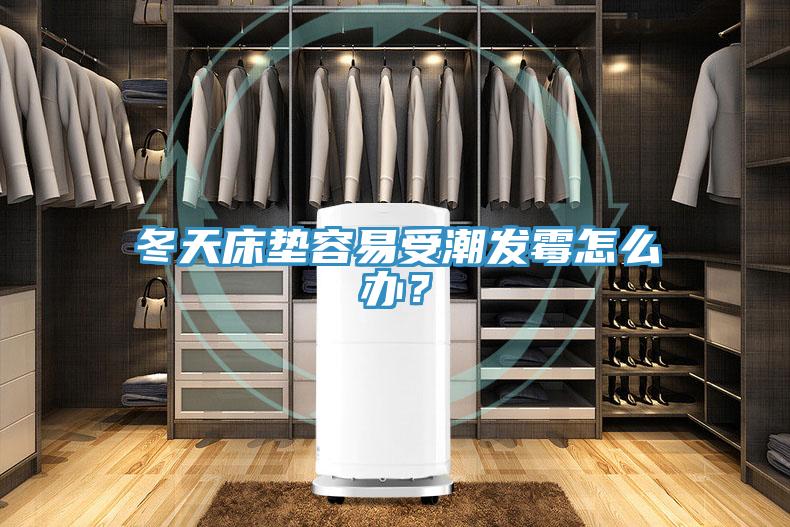 冬天床墊容易受潮發(fā)霉怎么辦？