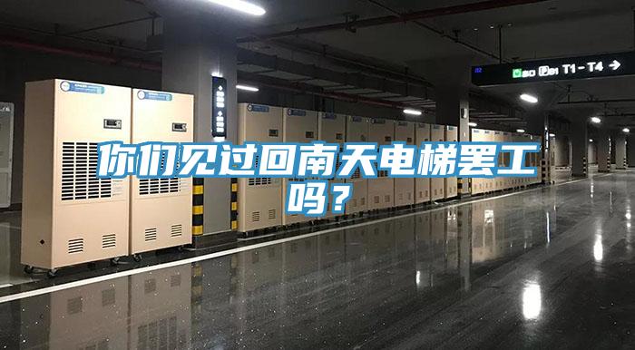 你們見過回南天電梯罷工嗎？
