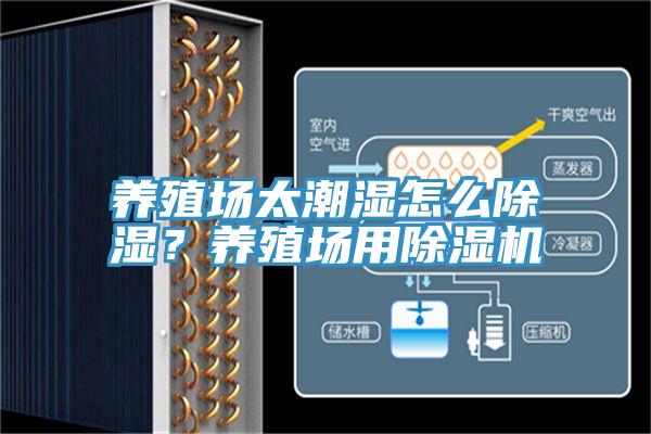 養(yǎng)殖場太潮濕怎么除濕？養(yǎng)殖場用除濕機(jī)