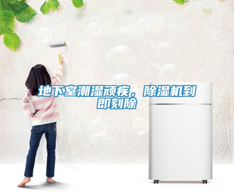 地下室潮濕頑疾，除濕機(jī)到即刻除