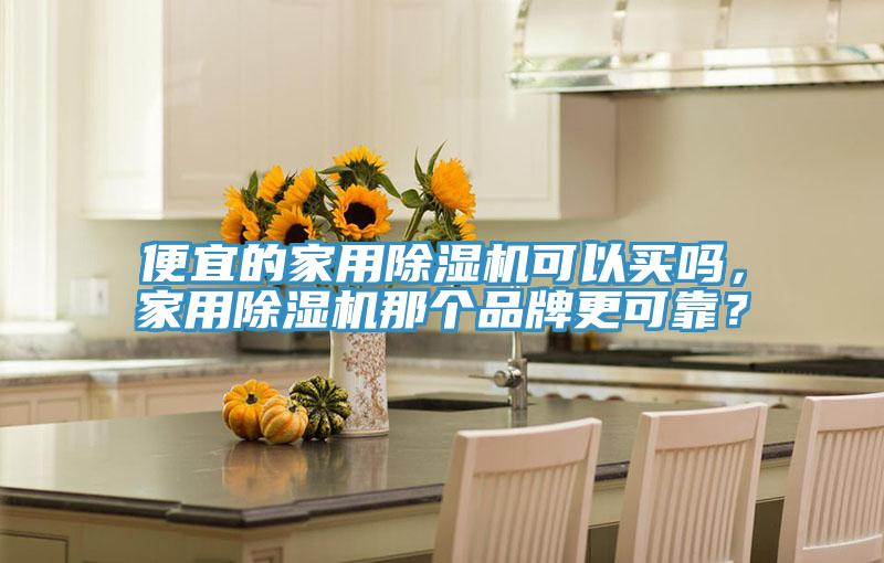 便宜的家用除濕機(jī)可以買嗎，家用除濕機(jī)那個(gè)品牌更可靠？