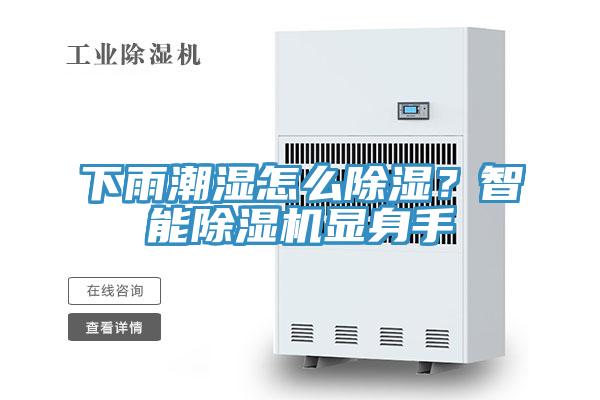 下雨潮濕怎么除濕？智能除濕機(jī)顯身手