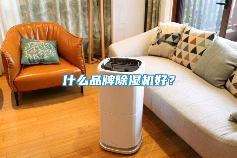 什么品牌除濕機(jī)好？