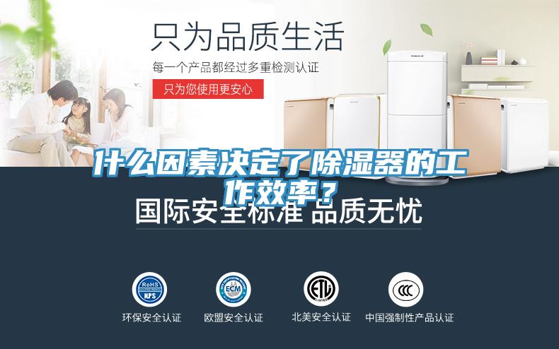 什么因素決定了除濕器的工作效率？
