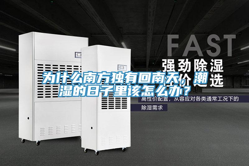 為什么南方獨(dú)有回南天，潮濕的日子里該怎么辦？