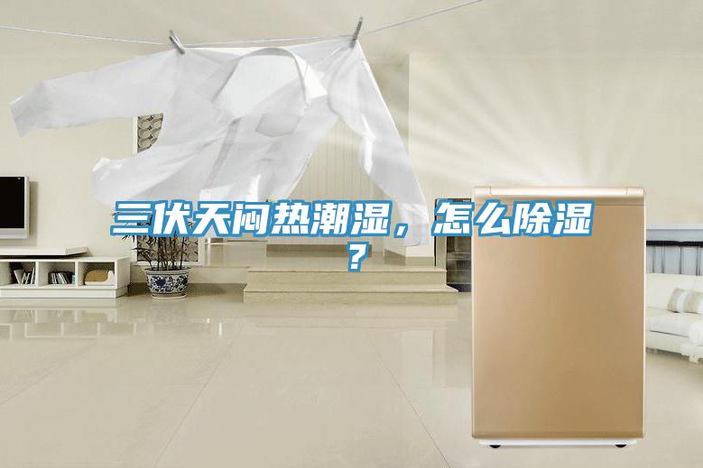 三伏天悶熱潮濕，怎么除濕？