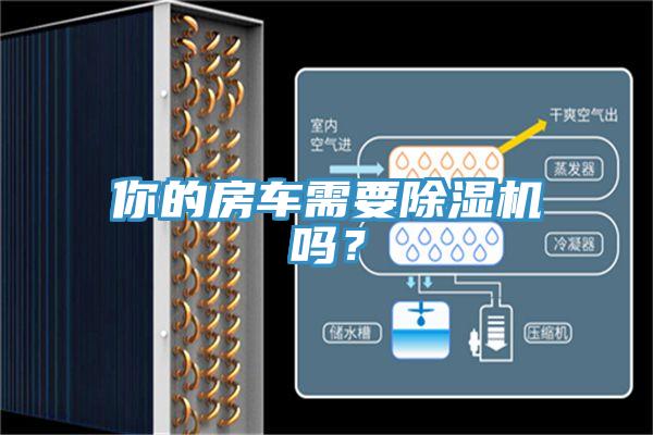你的房車需要除濕機嗎？