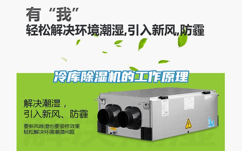 冷庫除濕機(jī)的工作原理