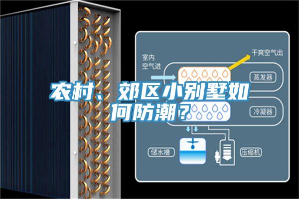 農(nóng)村、郊區(qū)小別墅如何防潮？