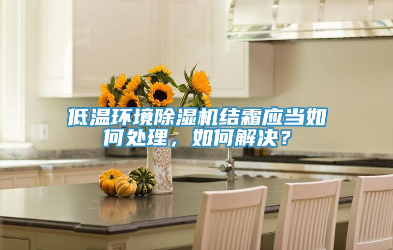 低溫環(huán)境除濕機結(jié)霜應(yīng)當(dāng)如何處理，如何解決？
