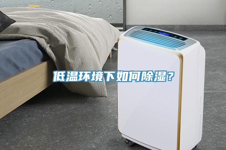 低溫環(huán)境下如何除濕？