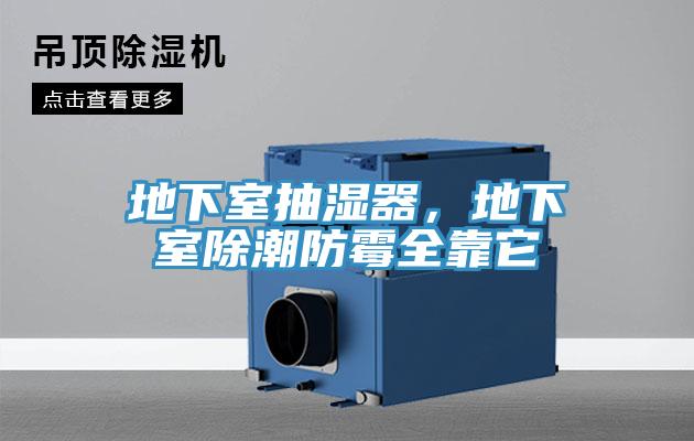 地下室抽濕器，地下室除潮防霉全靠它