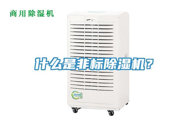 什么是非標(biāo)除濕機？