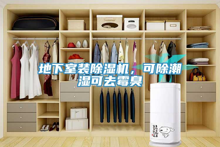 地下室裝除濕機，可除潮濕可去霉臭