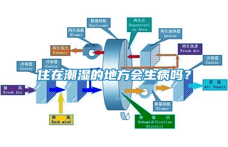住在潮濕的地方會生病嗎？