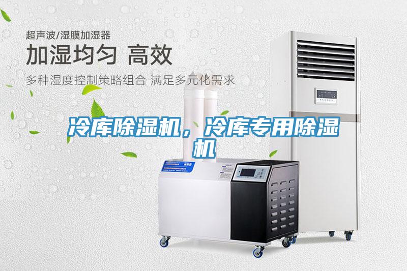 冷庫除濕機(jī)，冷庫專用除濕機(jī)