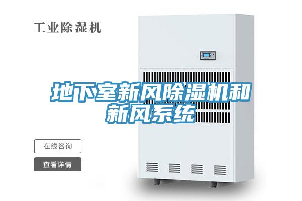 地下室新風(fēng)除濕機和新風(fēng)系統(tǒng)