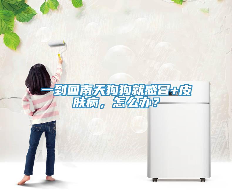 一到回南天狗狗就感冒+皮膚病，怎么辦？