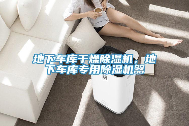 地下車庫(kù)干燥除濕機(jī)，地下車庫(kù)專用除濕機(jī)器