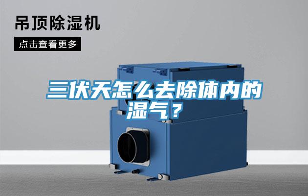 三伏天怎么去除體內(nèi)的濕氣？