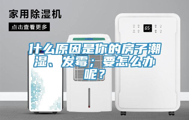 什么原因是你的房子潮濕、發(fā)霉；要怎么辦呢？