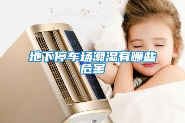 地下停車(chē)場(chǎng)潮濕有哪些危害