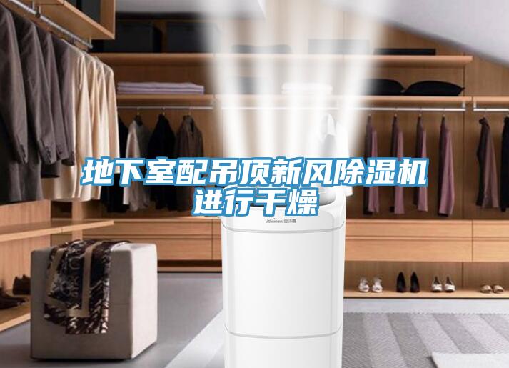 地下室配吊頂新風(fēng)除濕機進行干燥