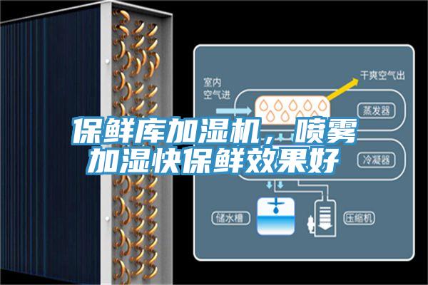 保鮮庫加濕機(jī)，噴霧加濕快保鮮效果好