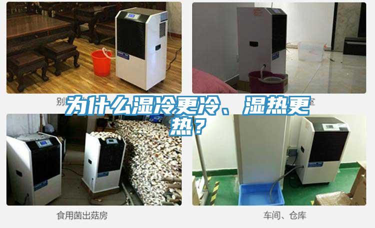 為什么濕冷更冷、濕熱更熱？