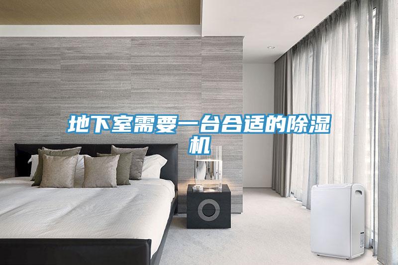 地下室需要一臺合適的除濕機