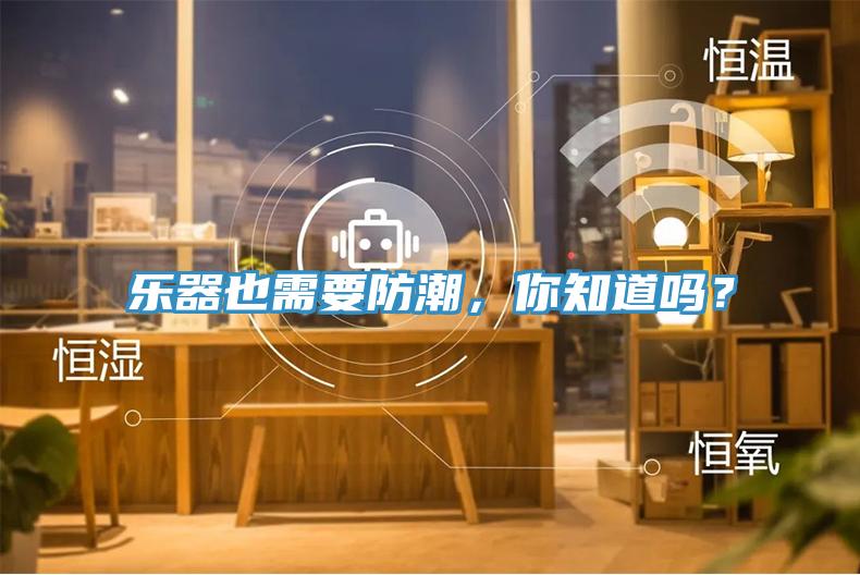 樂(lè)器也需要防潮，你知道嗎？