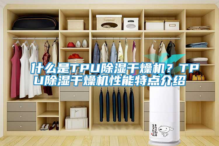 什么是TPU除濕干燥機(jī)？TPU除濕干燥機(jī)性能特點(diǎn)介紹